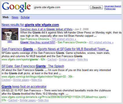 Google search in site results