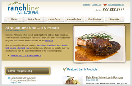 ranchline web design project